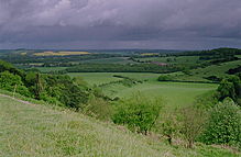 <b>Old Winchester Hill</b>Posted by GLADMAN