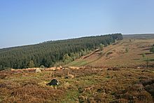 <b>Nant Croes-Y-Wernen</b>Posted by postman