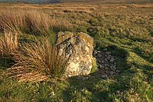 <b>Hafen stone pair</b>Posted by cerrig
