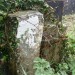 <b>St Cadfan's churchyard, Tywyn</b>Posted by thesweetcheat