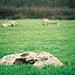 <b>Coate Stone Circle</b>Posted by RedBrickDream