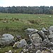 <b>Kinrive West</b>Posted by strathspey