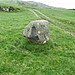 <b>Fonlief Hir Stone D</b>Posted by blossom