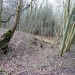 <b>Hailes Wood Camp</b>Posted by thesweetcheat