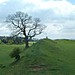 <b>Burrough Hill</b>Posted by ColinHyde