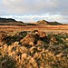 <b>Hafotty-Fach Cairns</b>Posted by postman
