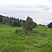<b>Witches Stone (Monzie)</b>Posted by scotty