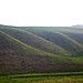 <b>Uffington White Horse</b>Posted by Spiddly