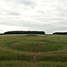 <b>Stonehenge Cursus Group</b>Posted by Spiddly