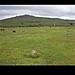 <b>Merrivale Stone Circle</b>Posted by wickerman