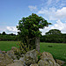 <b>Tyddyn Bach Standing Stone</b>Posted by thesweetcheat