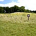 <b>Milston Down Long Barrows</b>Posted by Chance