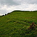 <b>Maes Knoll</b>Posted by GLADMAN