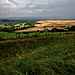 <b>Maes Knoll</b>Posted by GLADMAN