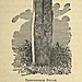 <b>Tresvennack Pillar</b>Posted by Rhiannon