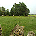 <b>The Rollright Stones</b>Posted by harestonesdown