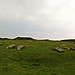 <b>Arbor Low</b>Posted by texlahoma