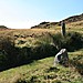 <b>Clogwyn-yr-Eryr (possible) stone row</b>Posted by postman
