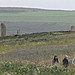 <b>Ring of Brodgar</b>Posted by wideford