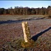 <b>Lyndoch middle stone</b>Posted by Ian Murray