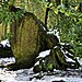 <b>The Hoar Stone</b>Posted by ginger tt