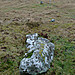 <b>West Saddlesborough Stone Row & Cairn Circle</b>Posted by thesweetcheat