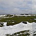 <b>Arbor Low</b>Posted by stubob