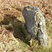 <b>Ramsdale Standing Stones</b>Posted by pebblesfromheaven
