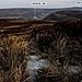 <b>Cwm Bwchel, Black Mountains</b>Posted by GLADMAN