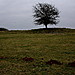 <b>Lechmore Long Barrow</b>Posted by GLADMAN