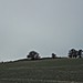 <b>Harestone Down Stone Circle</b>Posted by ruskus