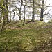 <b>Parndon Hall Mounds</b>Posted by Orifrog
