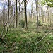 <b>Barrow Copse</b>Posted by Chance