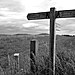 <b>Normanton Down and Bush Barrow</b>Posted by Chance