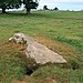 <b>Long Meg & Her Daughters</b>Posted by postman