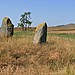<b>Fowlis Wester Standing Stones</b>Posted by postman