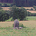 <b>Rostrevor Standing Stone</b>Posted by juamei