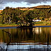 <b>Loch Ederline</b>Posted by GLADMAN