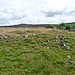 <b>Balnabroich Cairn</b>Posted by drewbhoy