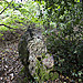 <b>Rempstone Stone Circle</b>Posted by A R Cane