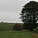 <b>Castle Ring tumulus</b>Posted by postman