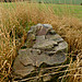 <b>Cairn Of Pitmansy</b>Posted by thesweetcheat