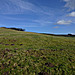 <b>Monkton Down</b>Posted by thesweetcheat