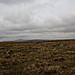 <b>Langstone Moor Stone Row</b>Posted by GLADMAN