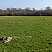 <b>Coate Stone Circle</b>Posted by thesweetcheat