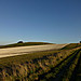 <b>Barbury Castle</b>Posted by thesweetcheat