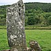 <b>The Great X of Kilmartin</b>Posted by postman