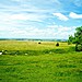 <b>Figsbury Ring</b>Posted by ginger tt