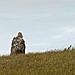 <b>St Breock Downs Menhir</b>Posted by RoyReed