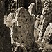 <b>The Rollright Stones</b>Posted by morfe
